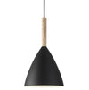 Pure 20 Black Wood Pendant