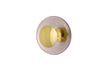 Horizon 29 Gold Ceiling/Wall Light