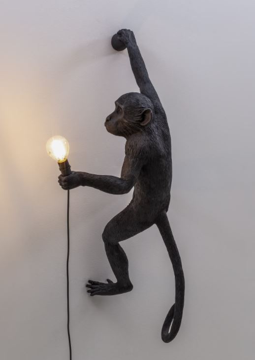 Monkey deals light hanging