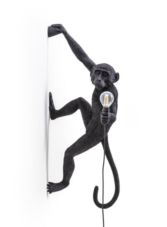 Monkey light online hanging